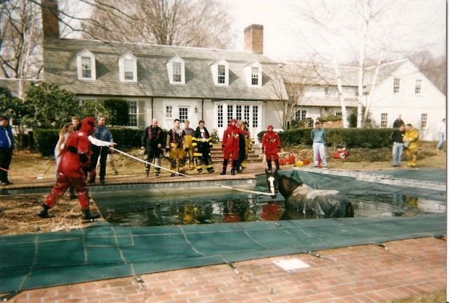 Horse Rescue From Pool